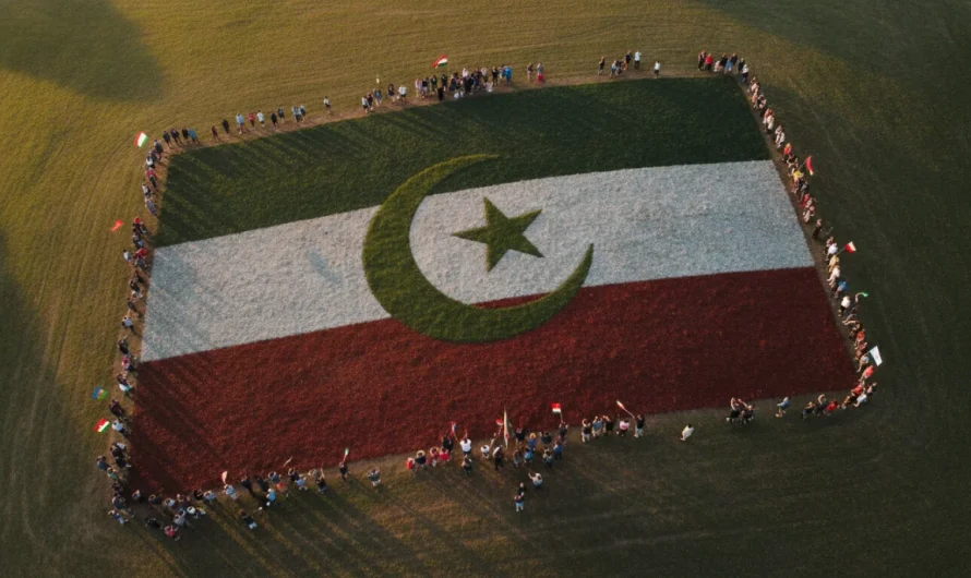 Lawrence Halkı ve Çöl Tilkileri: Amerika’daki Sürpriz Kardeşlik